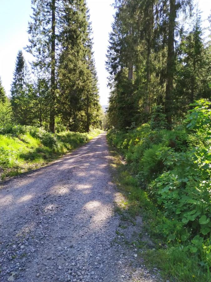 Ferienwohnung Feldberg - Residenz Grafenmatt Экстерьер фото