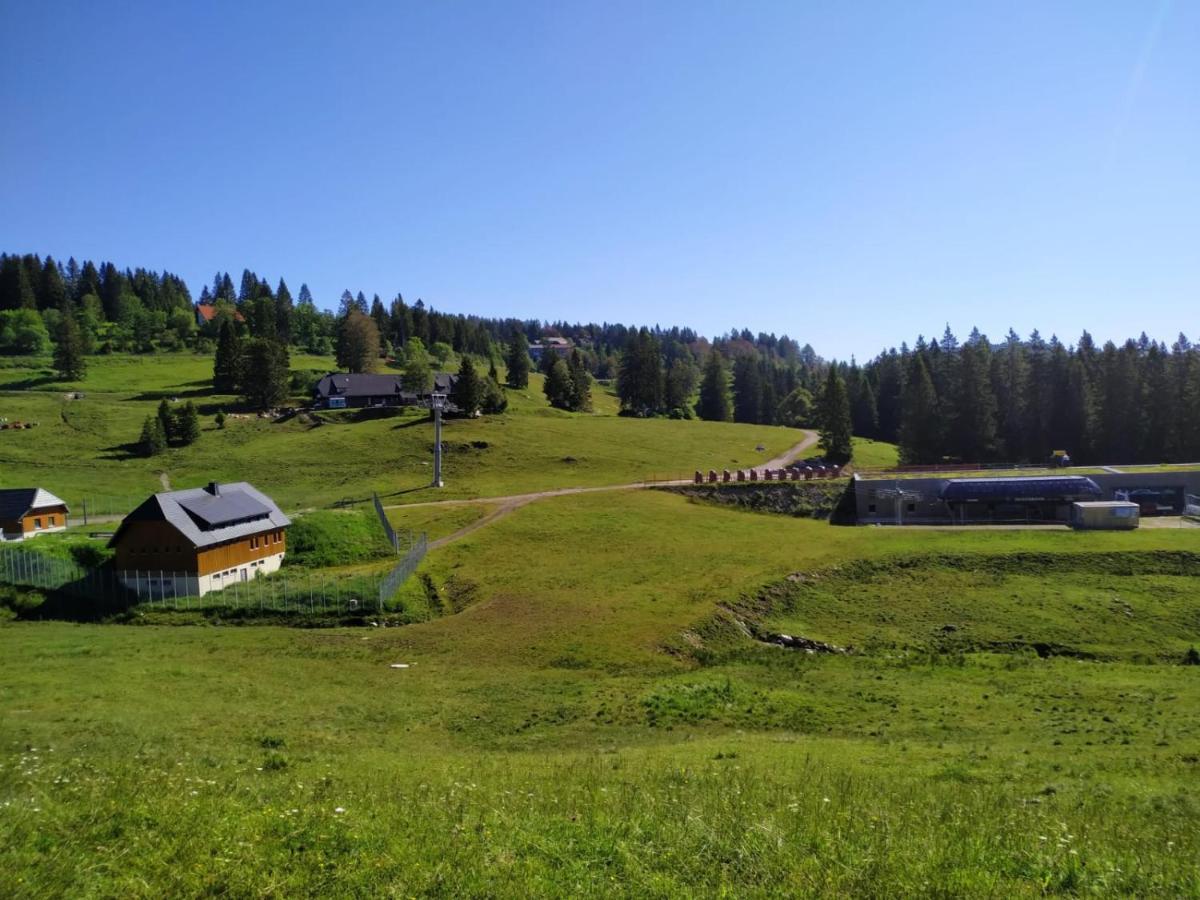 Ferienwohnung Feldberg - Residenz Grafenmatt Экстерьер фото