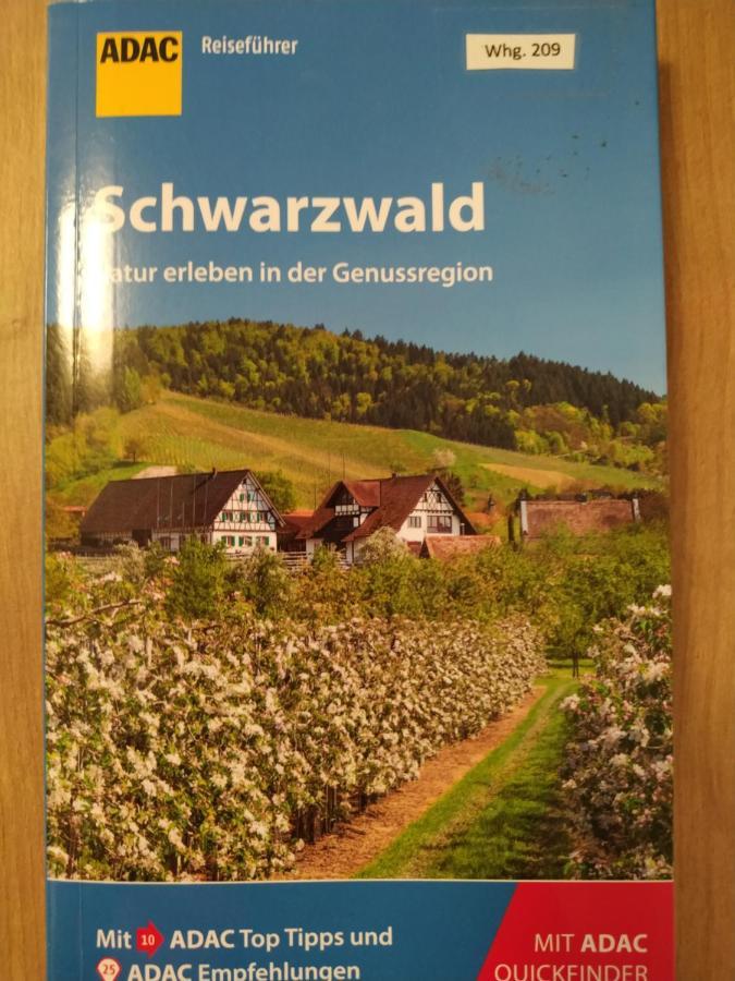 Ferienwohnung Feldberg - Residenz Grafenmatt Экстерьер фото