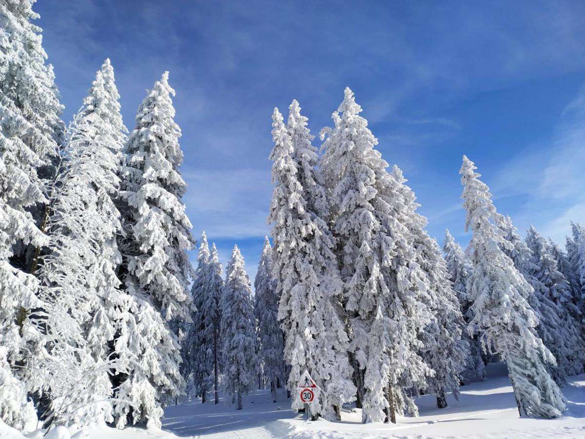 Ferienwohnung Feldberg - Residenz Grafenmatt Экстерьер фото