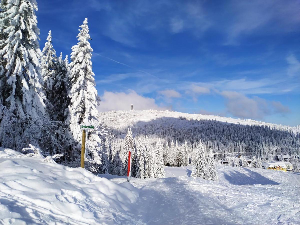 Ferienwohnung Feldberg - Residenz Grafenmatt Экстерьер фото